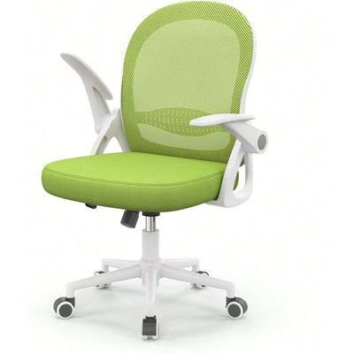 Ergonomic mesh office chair with folding armrests and lumbar support